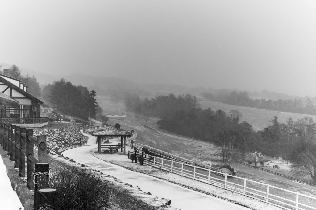 雪