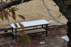 ゲートボール場のベンチ