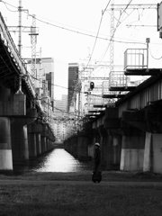 セグウエイで