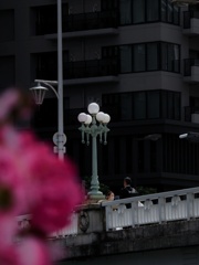 行き交う 3