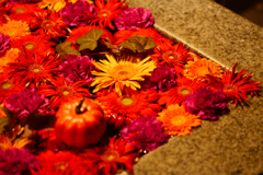 FloatingFlower
