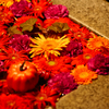 FloatingFlower