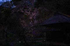 暮れなずむおうち