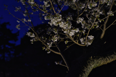 夜が来る