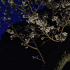 夜が来る