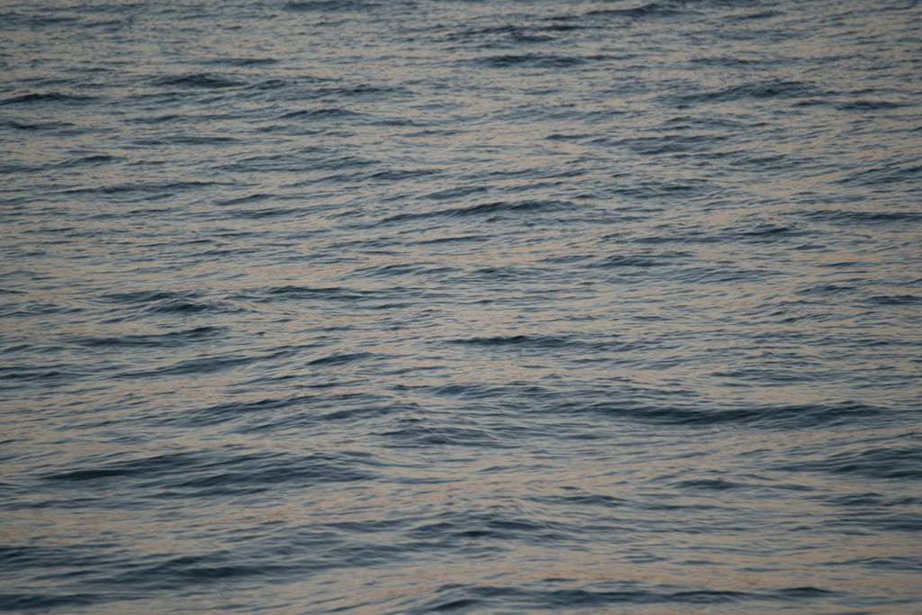 どこかの海