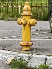 1000002591