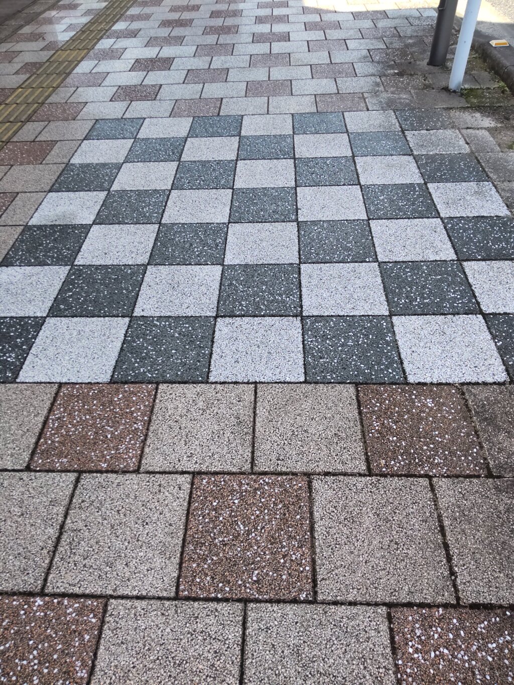 1000087951