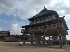 IMG_20241105_103624