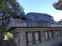 IMG_20241106_125646