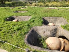 IMG_20241105_105309