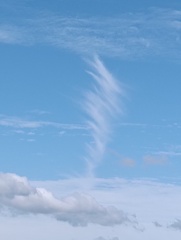 1000004254