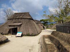 IMG_20241105_101937