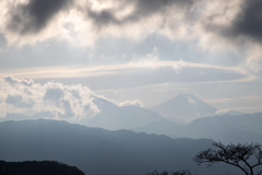 高尾山頂からの富士山