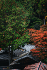 紅葉の宿