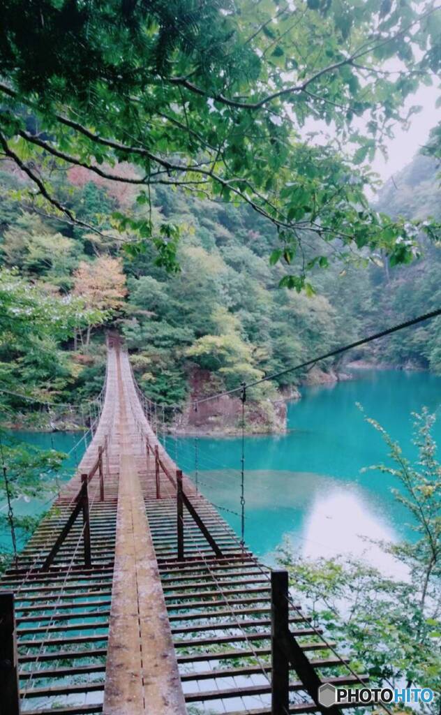 静岡県　夢の吊り橋✨