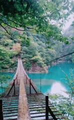 静岡県　夢の吊り橋✨