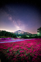 芝桜をまたがる天の川