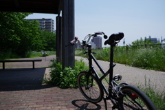 P1000163