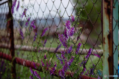 250515-1
