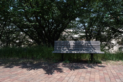 P1000154-1