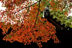 雷山千如寺ＦDSC_0711
