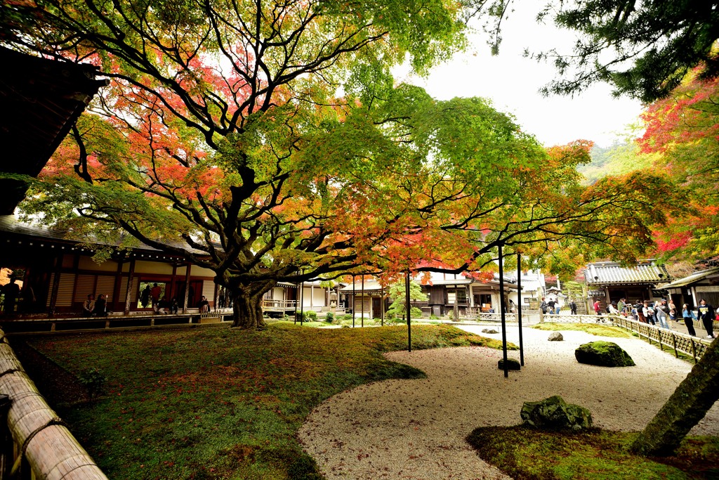 雷山千如寺大悲王院４
