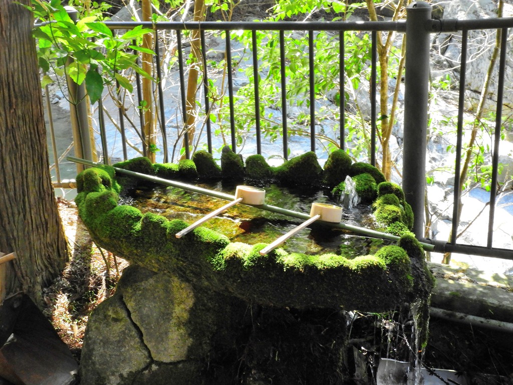 苔生す手水