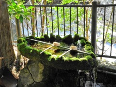 苔生す手水