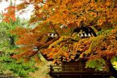 雷山千如寺ＥDSC_0704