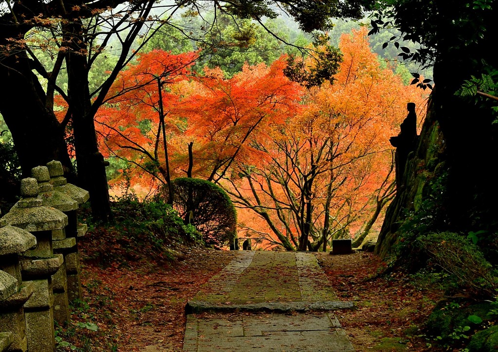 雷山千如寺大悲王院ＢDSC_9614