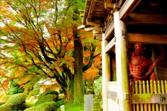 雷山千如寺ＨDSC_0693