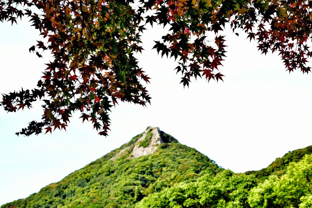 有田泉山紅葉７