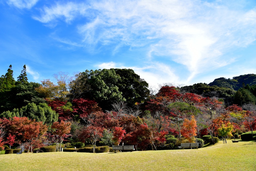 西渓公園（多久市）