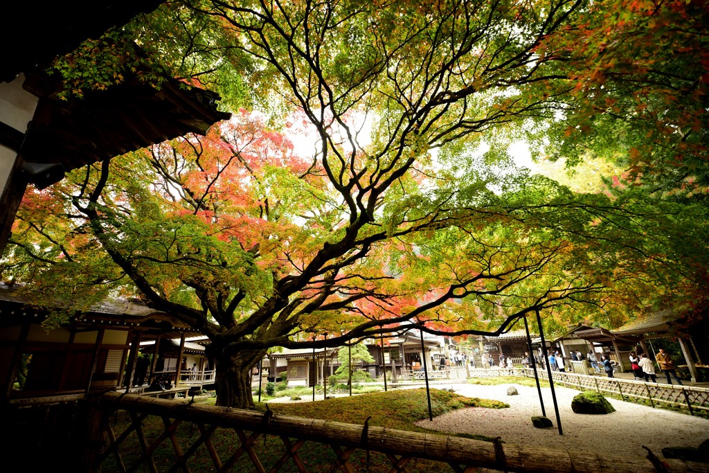 雷山千如寺大悲王院２
