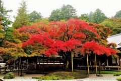 雷山千如寺大悲王院9DSC_0680