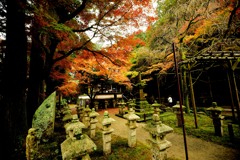 雷山千如寺大悲王院３