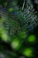 8c0b6467-f535-4caa-86a3-f1ee4071d5ce-1_a