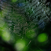 8c0b6467-f535-4caa-86a3-f1ee4071d5ce-1_a