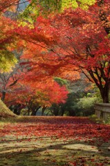 紅い道を