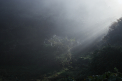 山霧