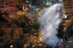 落ち葉焚き（横位置）