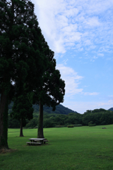 高原の朝
