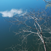 虚雲