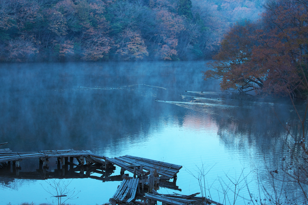 初冬の池