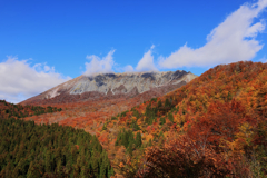 少し遅かった。
