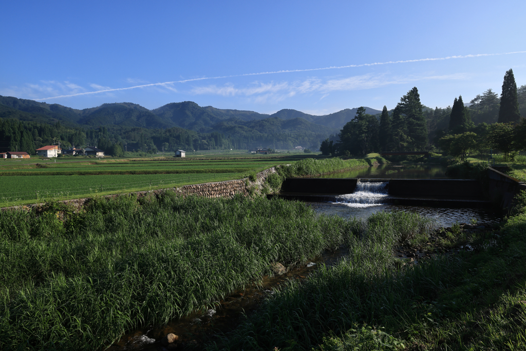 寒村の朝