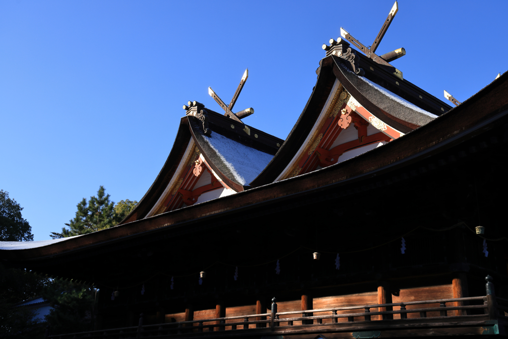 比翼入母屋(ひよくいりもや)造