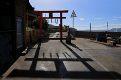 伸びる影