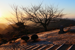 山の朝